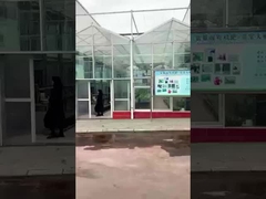 Εργοστάσιο αμινοξέων Sichuan Shihong-Lulu