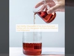 Υψηλής σταθερότητας ολιγοπεπτίδιο & ελεύθερο αμινοξύ υγρό λιπάσμα με ψευδάργυρο, μαγγάνιο και πυρίτιο για βελτιωμένη απόδοση καλλιέργειας