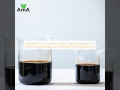 ΠεπτίδιοΦύλαγμα Ca-B Μεταφορικό υγρό ∆ Γρήγορη απορρόφηση ασβεστίου, βορίου και μικρών πεπτιδίων για επιταχυνόμενη επέκταση κυττάρων φρούτων