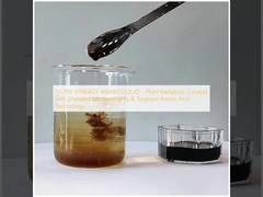 NUTRI-SYNERGY ΑΜΙΝΟΥΛΙΚΟΣ ΛΙΚΥΔΟΣ ∙ Φυτικός μεταβολικός καταλύτης με κελατισμένα μικροθρεπτικά συστατικά και στοχευμένη τεχνολογία αμινοξέων