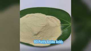 Συμπλήρωμα 80 Purity Amino Acid Pharma Grade