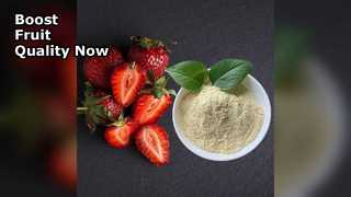 Το βιολογικό λίπασμα ασβεστίου ενισχύει την απόδοση των καρπών