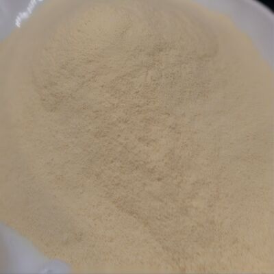Amino Acid 90% Enzymatic Acid Fertilizer Powder Nutrition Organic Fertilizer