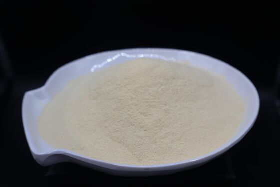 Enzyme Amino Acid Concentrate with Essential Amino Enzyme for Optimal Health and Natural Enzyme Amino for Enhanced Nutrient Absorption