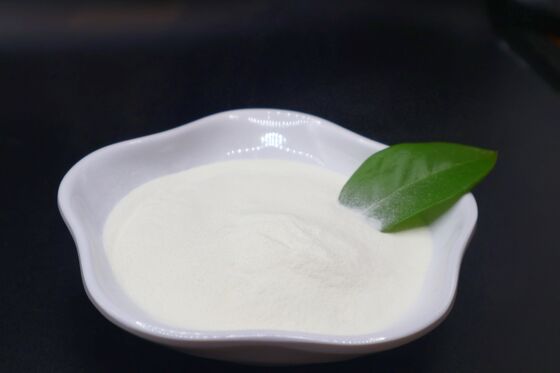 Slightly Fishy Hydrolyzed Collagen Peptides 1000 to 3000Dal Molecular Weight Raw Material for Health Care and Cosmetic Industry