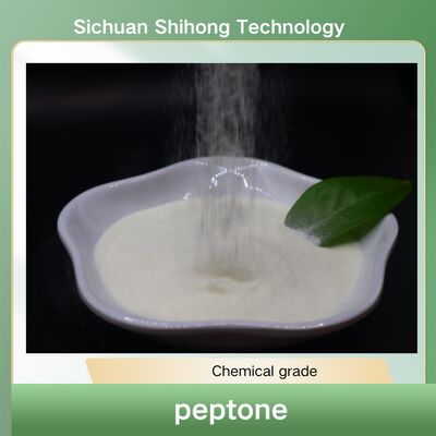 36 Months Shelf Life Hydrolyzed Collagen Peptides Food Grade Peptides with 300-500Dal Molecular Weight for Dietary and Cosmetic Use