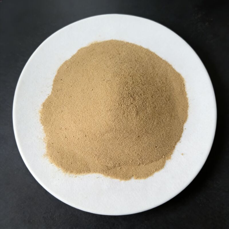 Plant Based Hydrolysate 80% Amino Acid Powder Fertilizer For Vegetables